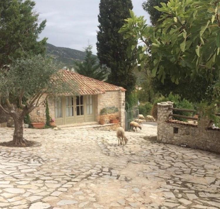 Elaion Guesthouse Ellinikón 외부 사진