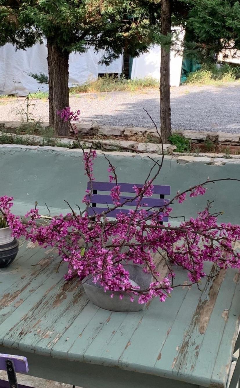 Elaion Guesthouse Ellinikón 외부 사진