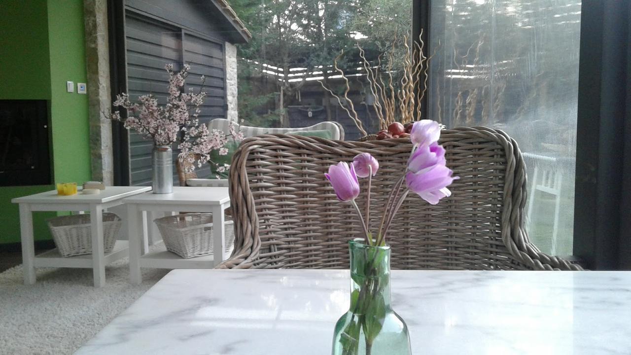 Elaion Guesthouse Ellinikón 외부 사진
