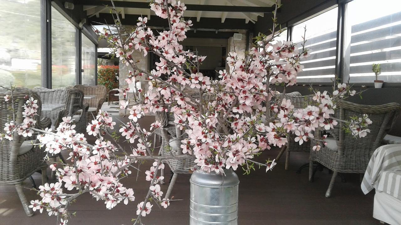 Elaion Guesthouse Ellinikón 외부 사진